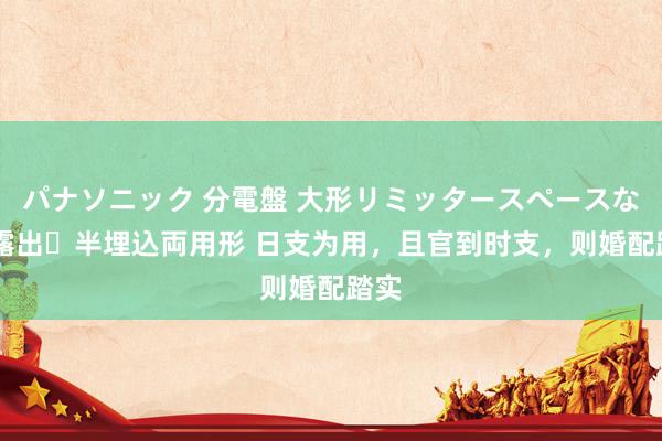 パナソニック 分電盤 大形リミッタースペースなし 露出・半埋込両用形 日支为用，且官到时支，则婚配踏实
