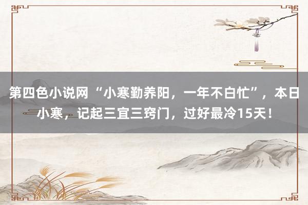 第四色小说网 “小寒勤养阳，一年不白忙”，本日小寒，记起三宜三窍门，过好最冷15天！