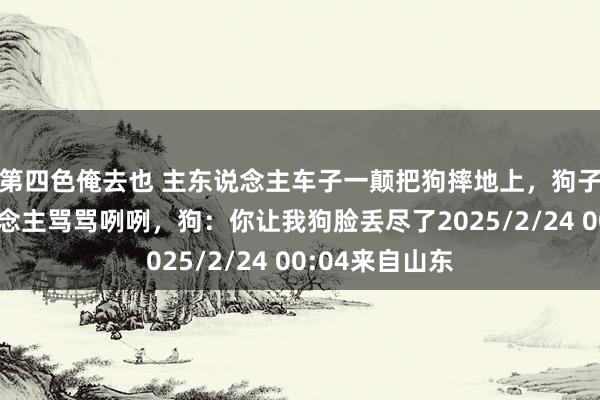 第四色俺去也 主东说念主车子一颠把狗摔地上，狗子气的冲主东说念主骂骂咧咧，狗：你让我狗脸丢尽了2025/2/24 00:04来自山东