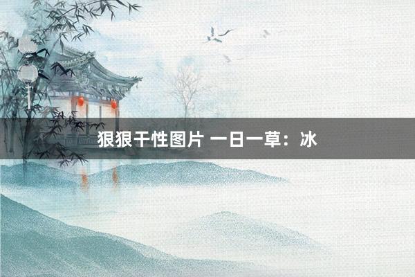 狠狠干性图片 一日一草：冰